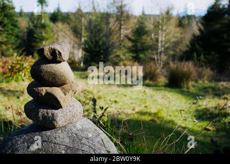 Nahaufnahme eines Steinstapels auf einem Felsen mit einem Wald und grünem Gras im Hintergrund Stockfoto