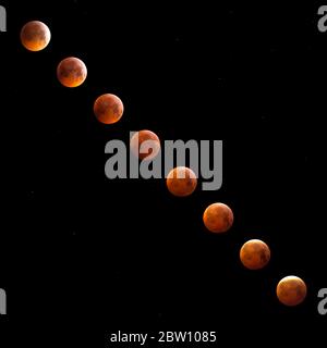 Der Superblut Wolf Mondfinsternis. Stockfoto