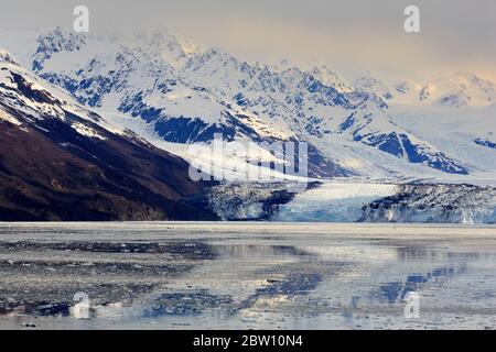 Harvard Clacier im College Fjord, Alaska, USA Stockfoto