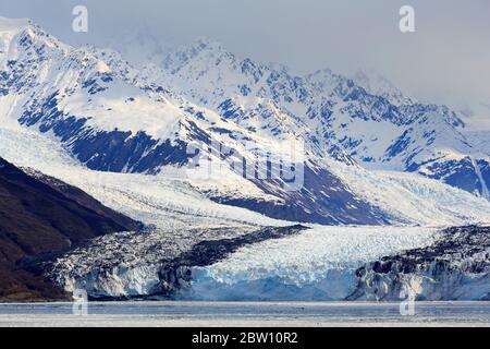 Harvard Clacier im College Fjord, Alaska, USA Stockfoto