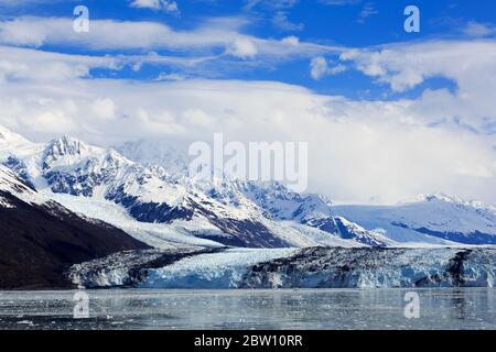 Harvard Clacier im College Fjord, Alaska, USA Stockfoto