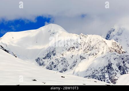 Chugach Mountains im College Fjord, Alaska, USA Stockfoto