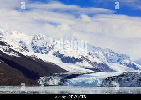 Harvard Clacier im College Fjord, Alaska, USA Stockfoto