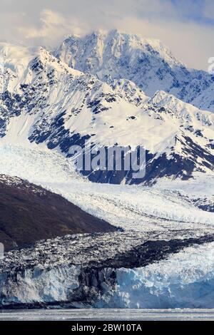 Harvard Clacier im College Fjord, Alaska, USA Stockfoto