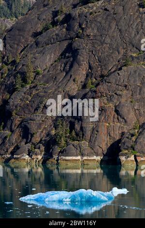 Eis, Endicott Arm, Holkham Bay, Juneau, Alaska, USA Stockfoto