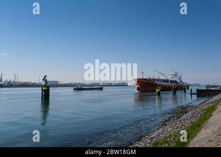 Industriegebiet im Hafen von Rotterdam in den Niederlanden. Hafen von Rotterdam Zuid Holland/Niederlande Produkte terminal Europoort/calandkanaal Stockfoto