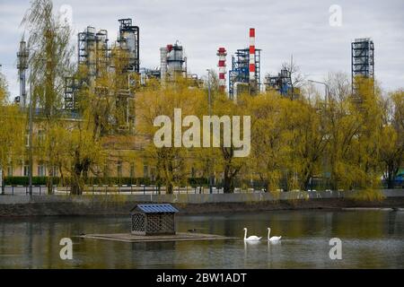 Moskau, Russland. Mai 2020. Teich mit zwei Schwäne und Bäumen und Pfeifen der Moskauer Ölraffinerie im Hintergrund in Moskau, Russland. Stockfoto