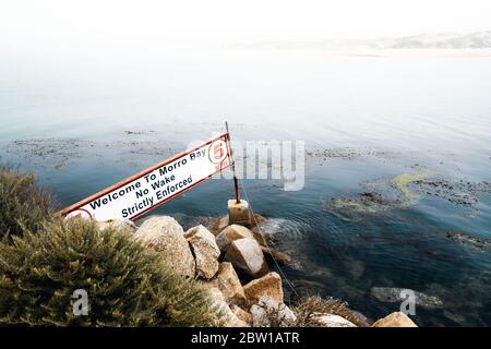 Willkommen im Morro Bay State Park, einem State Park an der Morro Bay Lagune, der zentralen kalifornischen Küste Stockfoto