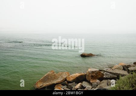 Morro Bay, Kalifornien/USA - 27. Mai 2020 Schwimmer auf See. Moody Seascape, neblig bedeckter Tag, und Silhouetten von Schwimmern Stockfoto