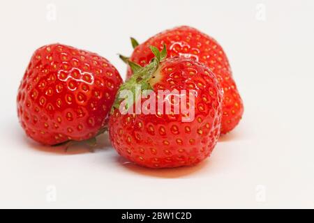 Drei saftige Erdbeeren auf weißem Hintergrund Stockfoto