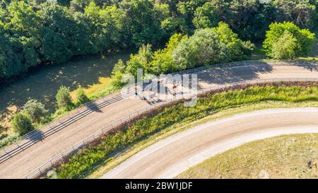 Pferde und Jockey laufen auf der Strecke Stockfoto