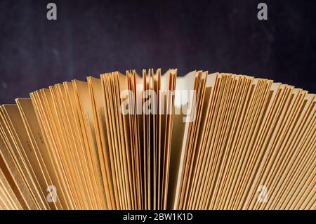 Nahaufnahme eines gebräunten Buches mit braunen Papierseiten vor einem violetten Hintergrund in warmem Licht Stockfoto