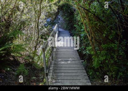 TREKKING AUF ABEL TASMAN PARK, NEUSEELAND, SÜDINSEL Stockfoto