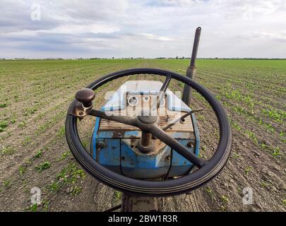 Alte rostige Traktor in Feldern 3 Stockfoto