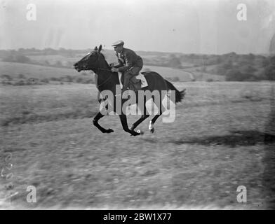 Derby Favoriten ausgeübt in Epsom. Le Ksar, der Favorit von M E de St Alary für das Derby, wurde von einem stabilen Burschen über den Downs in Epsom trainiert, mit einem großen Rennen, das am Mittwoch ausgetragen wird. Foto zeigt, Le Ksar auf dem Übungspuß in Epsom. 31 Mai 1937 Stockfoto