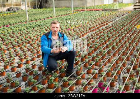 Portrait von zuversichtlich männlichen Bauern im Anbau von Tomaten im Gewächshaus eingerückt Stockfoto