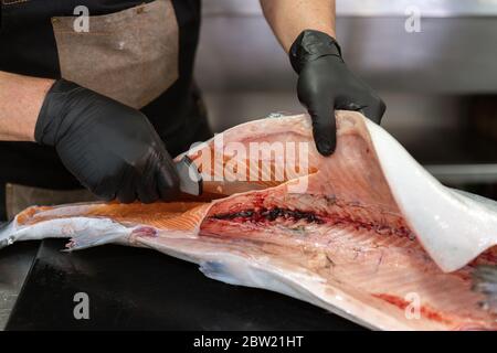 Meister shusi mit schwarzen Hygienehandschuhen reinigen und bereiten einen riesigen frischen Lachs. Essen und Küche Konzept Stockfoto