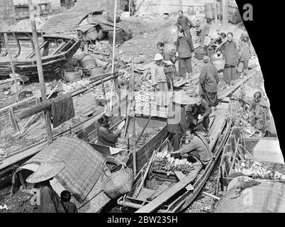 Tausend Menschen werden nach einem schrecklichen Morgengrauen-Luftangriff auf Kanton, Südchina, von japanischen Bombenflugzeugen als tot gemeldet. Viele der Bomben fielen in den dicht besiedelten ärmeren Stadtteilen der Stadt. Der Markt für weiße Rettich. Sampans kommen aus dem Fluss auf den Markt geladen mit Radieschen. Während die Männer vier Stunden feilschen, machen die Frauen die eigentliche Arbeit des Entladens. 23. September 1937 Stockfoto