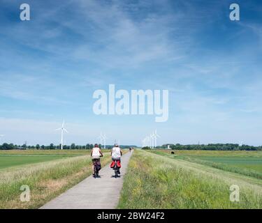 Frauen auf dem Fahrrad und Frühlingsblumen in der Nähe von Bereich mit Windkraftanlagen in der niederländischen Provinz flevoland Stockfoto