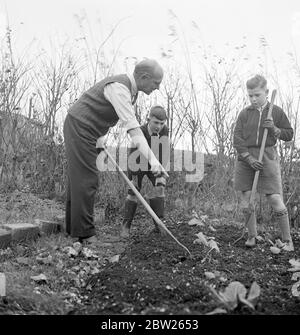 Cockney-Kinder aus der Sydenham Road-Gegend von Croydon werden nach der Evakuierung in die Woodingdean-Gegend bei Brighton zu Bauern. Eine Lektion im Hoeing unter der Leitung von Herrn Martin. Die Jungs sind Leslie Pring und Kenneth Lovegrove, beide 11 1/2. Stockfoto