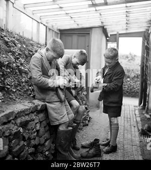 Cockney Kinder aus der Sydenham Road Gegend von Croydon wachsen in Bauern nach Evakuierung in die Woodingdean Gegend in der Nähe von Brighton. Stockfoto