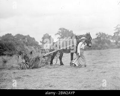Ein Pferd gezogener Heureke, auf dem Rechen kann man sehen, traditionelle Handrechen, die von anderen benutzt werden. Stockfoto