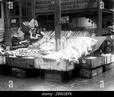 Fischstand für Cassell's. Mai 1917 Stockfoto