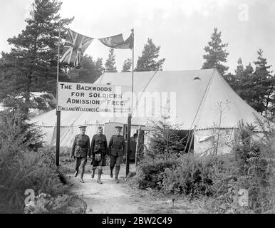 Der Backwoods Club, Camberley, für kanadische Soldaten. 1914 - 1918 Stockfoto