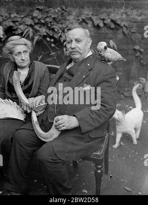 Herr H Roberts, der 44 Jahre bis 1924 als Oberkepter im Elephant House im Londoner Zoo tätig war, feiert seine Goldene Hochzeit mit seiner Frau in ihrem Haus im Regent Park. Die aufregendste Erfahrung in Mr Roberts langer Karriere ereignete sich vor 25 Jahren, als der Elefant, bekannt als Doktor Jim, ihn umschlug und seinen Rüssel weidete. Foto zeigt: Mr und Mrs H Roberts mit einem Papagei und einigen Mr Roberts Zoo Trophäen in ihrem Regent's Park Haus. 26. Oktober 1938 Stockfoto