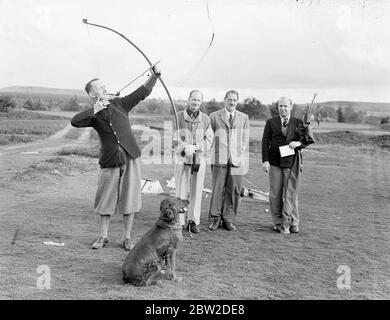 Major J G Hayter, anerkannter Experte im jährlichen Bogengolfsport, traf Colonel E St George Kirke, den Kapitän des Clubs, in einem Spiel im Hankley Common Golf Club, Surrey. Er gab einem Schlaganfall einen Sturm zu. Major Hayter schießt seinen Pfeil in eine Box statt in ein Loch. Sein Durchschnitt für die meisten Surrey Kurse ist in den siebziger Jahren. Foto zeigt: Major J G Hayter schießt vom ersten Abschlag, während sein Haustier Irish Settler Hund Becky den Flug des Pfeils beobachtet. 18. Oktober 1938 Stockfoto