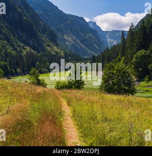 Malerische Sommer Berglandschaft des Durmitor National Park, Montenegro, Europa, Balkan Dinarischen Alpen, UNESCO-Weltkulturerbe. Grasland in Bergland Stockfoto