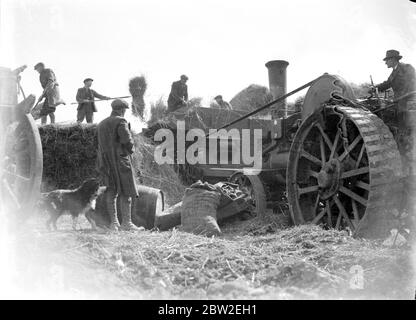 Dreschwerk 1934 Aveling und Porter Traction Engine gebaut 1920 8 PS-Verbundzylinder PB9810 im Besitz von Bruce Harwood Dolling von Fearn Bank, Eynsford Stockfoto