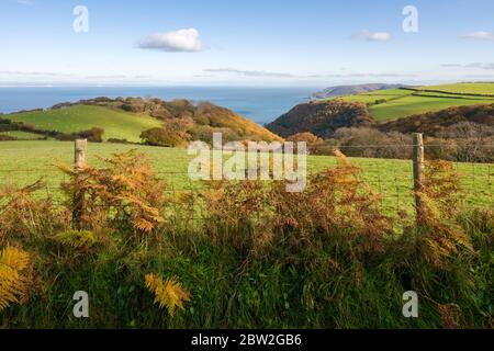 Herbstblick über Withy Combe und den Bristol Channel von der Yearnor Mill Lane im Exmoor National Park in der Nähe von Porlock, Somerset, England. Stockfoto