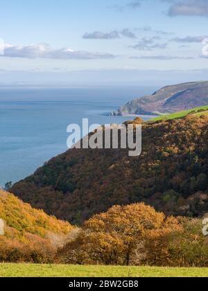 Herbstblick über Yearnor Wood bis Bossington Hill und den Bristol Channel im Exmoor National Park, Somerset, England. Stockfoto