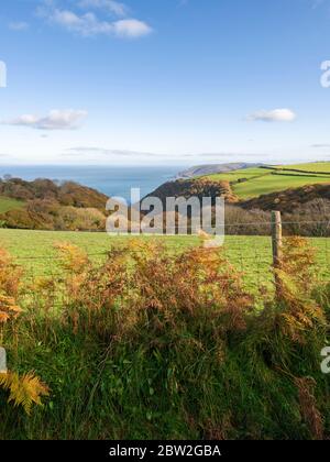 Herbstblick über Withy Combe und den Bristol Channel von der Yearnor Mill Lane im Exmoor National Park in der Nähe von Porlock, Somerset, England. Stockfoto