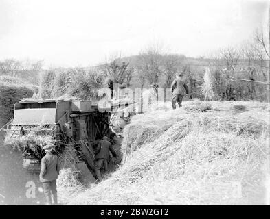 Dreschwerk 1934 Aveling und Porter Traction Engine gebaut 1920 8 PS-Verbundzylinder PB9810 im Besitz von Bruce Harwood Dolling von Fearn Bank, Eynsford Stockfoto