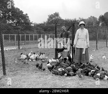 Lady Angela Forbes auf ihrer Silbernen Abzeichen Farm für behinderte Soldaten in Brentwood . 27 Juni 1919 Stockfoto