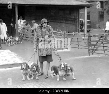 Basset Hound Show im White Lion Hotel, Banbury. Hon Frau ED. Greenall mit ihren vier Hunden Lodestar, Liberty, Comedy, Tragedy, mit denen sie den Challenge Cup für die besten beiden Paare gewann. 24. oktober 1934 Stockfoto