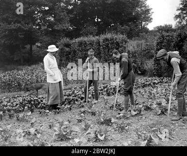 Lady Angela Forbes an ihrem Silver Badge Farm für behinderte Soldaten in Brentwood, Essex. 27 Juni 1919 Stockfoto