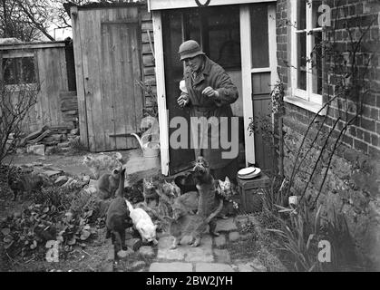 Miss Nancy Rutherford vor dem Haus füttert ihre 15+ Katzen. 1934 Stockfoto