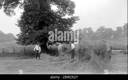 Lady Angela Forbes an ihrem Silver Badge Farm für behinderte Soldaten in Brentwood, Essex. 27 Juni 1919 Stockfoto