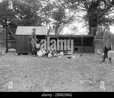 Lady Angela Forbes an ihrem Silver Badge Farm für behinderte Soldaten in Brentwood, Essex. 27 Juni 1919 Stockfoto