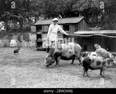 Lady Angela Forbes auf ihrer Silbernen Abzeichen Farm für behinderte Soldaten in Brentwood . 27 Juni 1919 Stockfoto