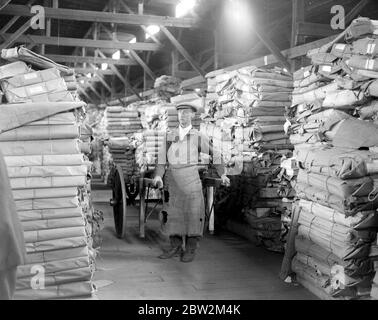 Bei den Herren James Burns' Buch Binding Werke in Esher. Das Lager, wo die Blätter direkt aus den Druckern gelagert werden. 15 Mai 1923 Stockfoto