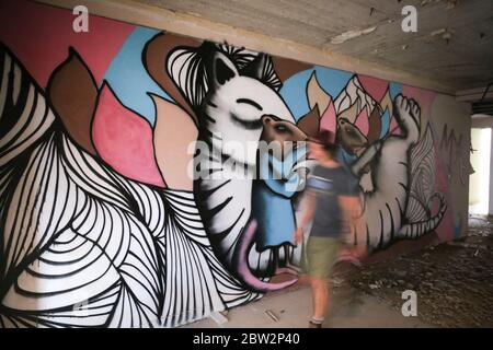 Marsaskala / Malta - 28. Okt 2015: Graffiti mit Ratten und Katzen an der Wand des verlassenen Jerma Palace Hotels Stockfoto