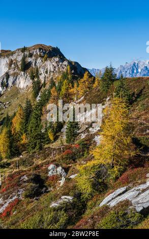 Sonnige idyllische Herbstalpenszene. Ruhiger Alpenblick vom Wanderweg von Dorfgastein zu Paarseen, Land Salzburg, Österreich. Picturesqu Stockfoto