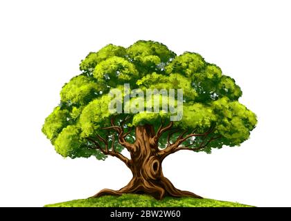 Grüner Baum floralen Elementen, Natur, handgezeichnete Skizze Kunst Illustration mit Wasserfarben auf weißem Hintergrund isoliert gemalt. Stockfoto