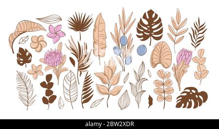Große Menge von tropischen Blättern und Blumen, Vektor-Illustration. Trendige Beigetönen Stock Vektor