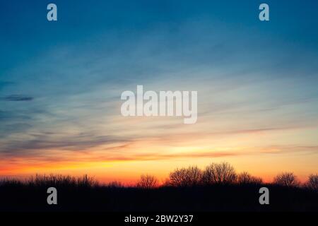 Sonnenuntergang über dunklem Feld mit trockenen Bäumen schwarze Silhouette Stockfoto