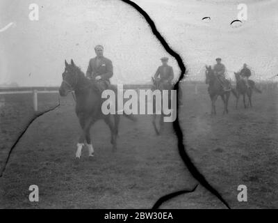 Neuer Epsom Trainer beginnt die Arbeit für die großen Rennen. Eine Lizenz zum Zug wurde gerade von der Jockey Club Herrn Arthur S Boxall , ein bekannter North London Estate Agent , der in Epsom gelebt hat und besaß Pferde für eine Reihe von Jahren gewährt. Herr Boxall führt seine Trainingsarbeit in den sehr frühen Morgenstunden und hat einige wahrscheinlich Kandidaten in Vorbereitung auf die großen Rennen in diesem Sommer , einschließlich Sprint , der in der Stadt und im Vorburban engagiert . Herr Arthur Boxall auf Sprint, führt seine Zeichenfolge in der frühen Morgenstunden Training auf Epsom Downs, Surrey. April 1932 Stockfoto